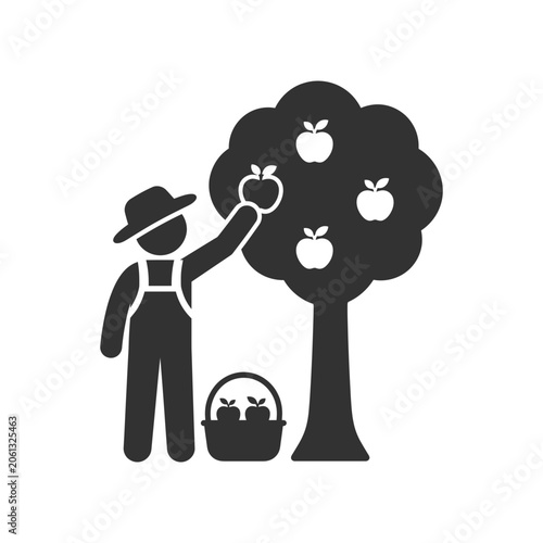 Bild auf Leinwand Farmer Harvesting Apples from Tree