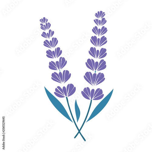 Purple leaf vector icon isolated