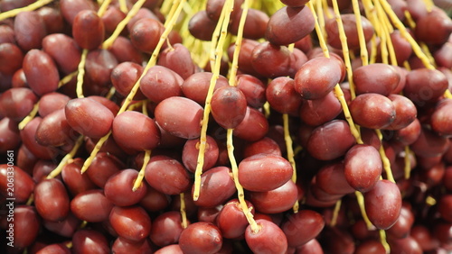 Close-up bunch of fresh ripe dark red date palm fruits