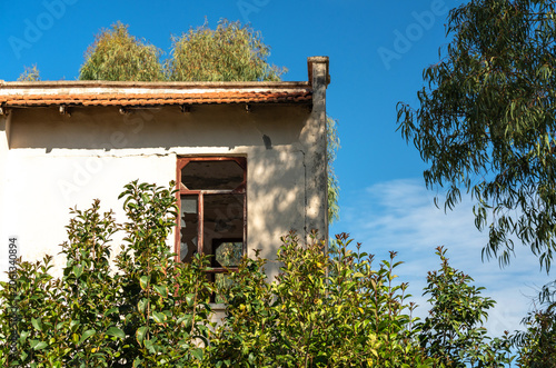 Fotografie An abandoned overgrown hotel braided with beautiful flowering plants