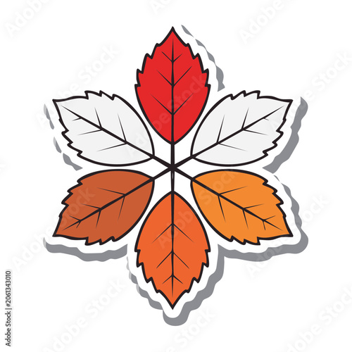 Colorful Maple Leaf Cluster Illustration