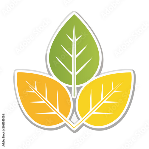 Colorful flat design leaf icon set