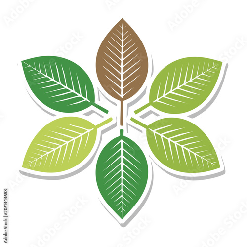 Symmetrical Green Leaf Cluster Vector