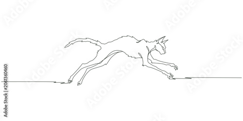 Photography Running cat continuous one line drawing vector illustration