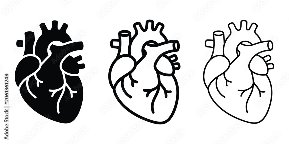 Fototapeta premium Human heart icon silhouette vector, bold outline and line art design