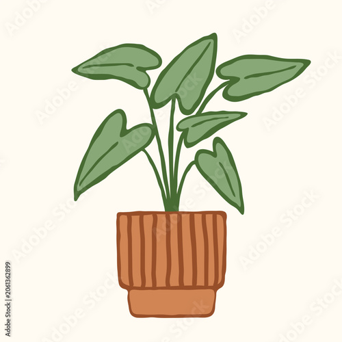 Potted alocasia plant in colorful ink hand drawn style. Design element for home decor, botanical themes, gardening, posters, websites, social media, packaging, print, sticker. Flat vector illustration