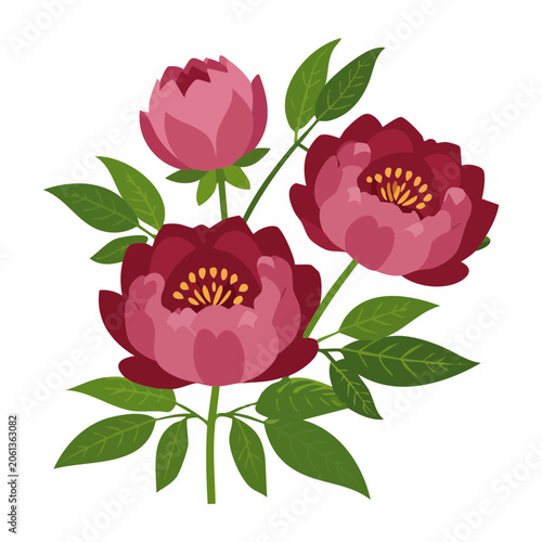 Pink and red dahlia flower with green leaves