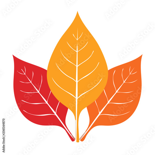 Colorful autumn leaves illustration
