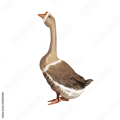 Sculpture of a goose standing on a plain background showing details of the bird's features