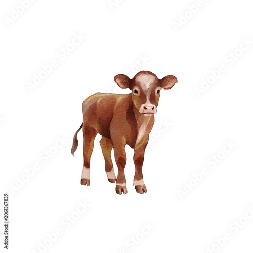 Young calf stands on a plain background looking at the viewer in a simple drawing style in colors of brown and cream