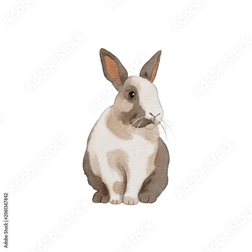 Cute rabbit sitting calmly in a simple indoor space during daytime