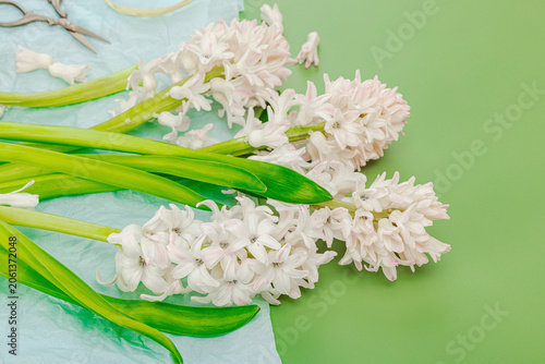 Florist workspace concept for spring holiday preparation. Gentle hyacinth flowers, scissors