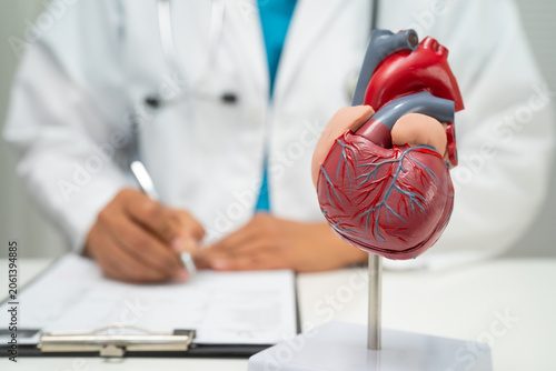 Cardiovascular disease CVD, doctor with heart human model anatomy for treatment patient in hospital.