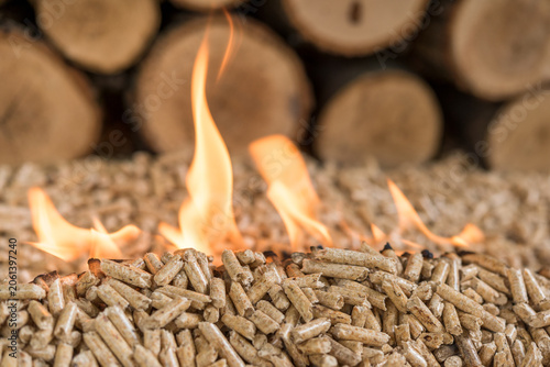 Photos Extreme Close Up of Burning Wood Pellets with Flames and Firewood Background