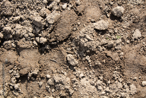 Obraz na płótnie Clumpy agricultural soil texture close up