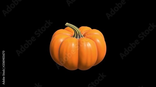 3D Pumpkin Rotating On Alpha Loop