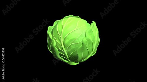 3D Cabbage Rotating On Alpha Loop