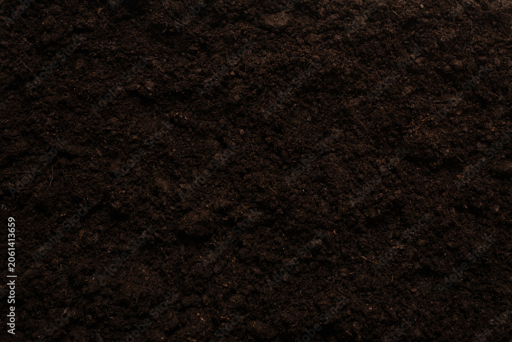 Fototapeta premium Black land for plant background.