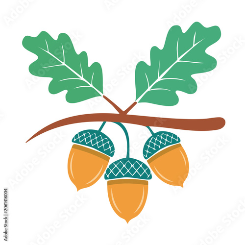 Flat Design Oak Leaves and Acorns on Branch