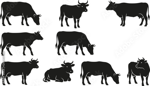 Schilderij op canvas Cow silhouette collection, farm bull livestock icons, cattle animal elements, ranch beef dairy, standing grazing heifer, rural nature, organic