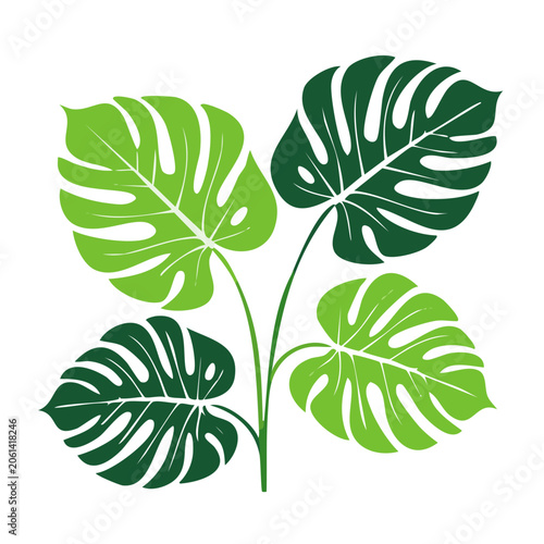 Four green leaf vector illustration