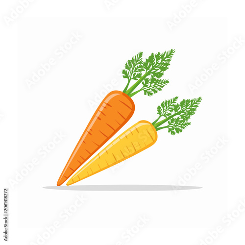Flat lay of fresh carrot with parsley