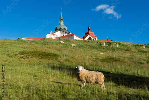Pilgrimage Church of Saint John of Nepomuk on Zelená Hora, Žďár nad Sázavou with Grazing Sheep in Summer