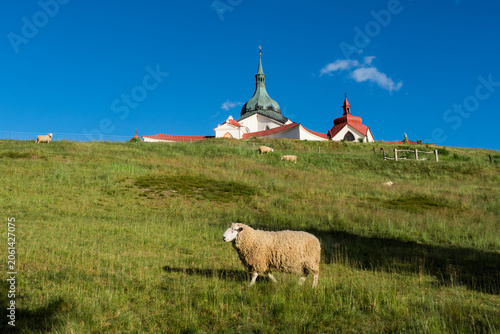 Pilgrimage Church of Saint John of Nepomuk on Zelená Hora, Žďár nad Sázavou with Grazing Sheep in Summer