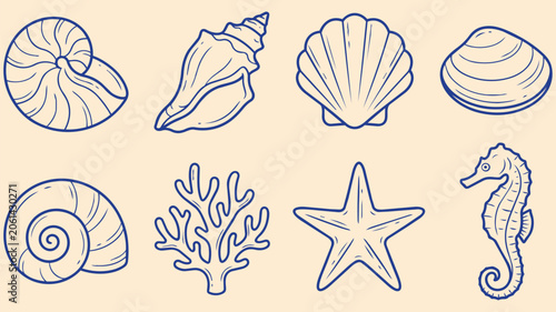 Sea shells collection hand drawn doodle set with nautilus shell scallop coral starfish seahorse ocean coastal marine vector illustration