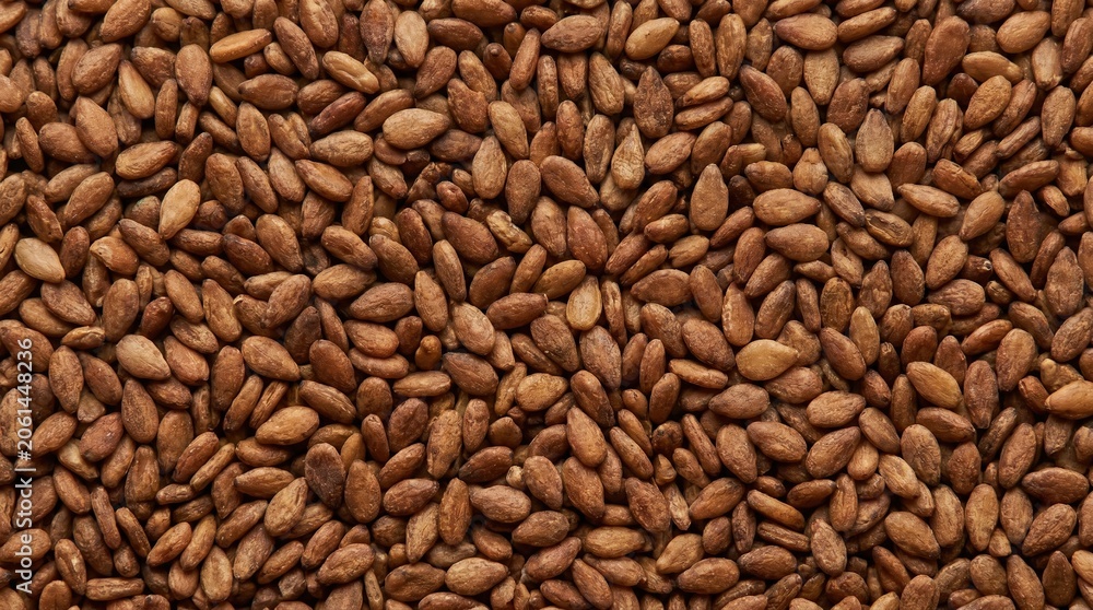 Fototapeta premium Roasted brown sesame seeds texture full frame top view macro shot of organic healthy ingredient used in culinary cooking recipes and asian cuisine garnishes for flavorful nutritious vegan meals