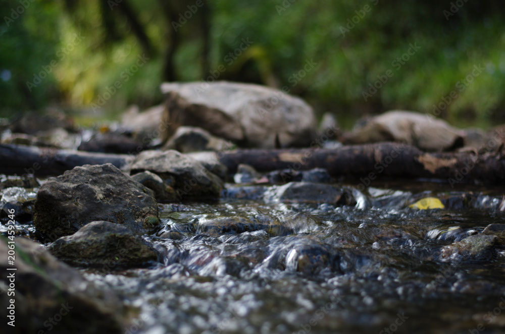 Fototapeta premium Water flowing over rocks in a forest stream