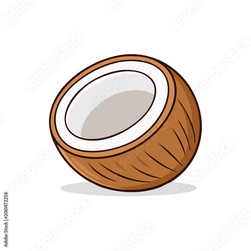 Fresh Half Coconut with White Flesh Isolated Tropical Fruit Illustration