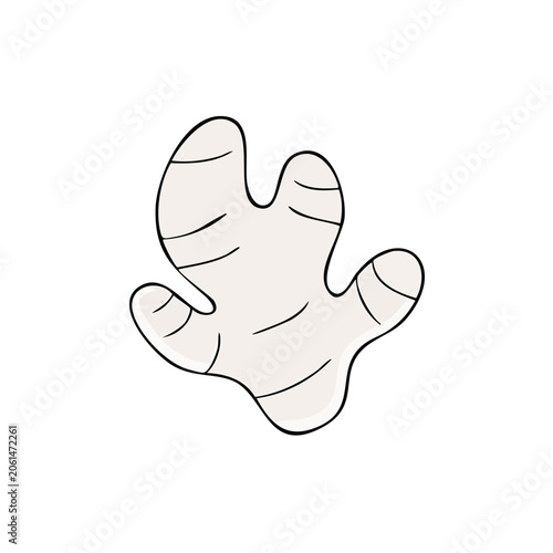 Hand drawn illustration of a light brown ginger root with black outline on a white background