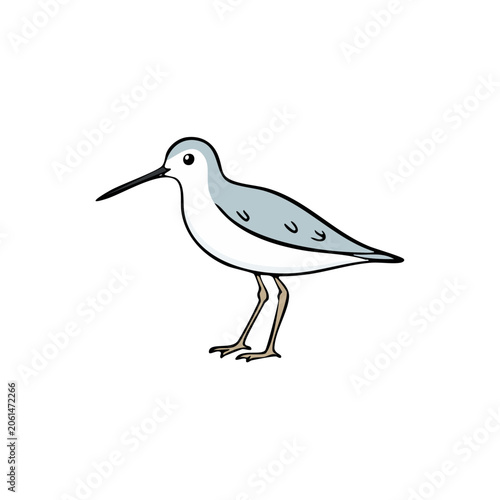 Cute cartoon sandpiper bird standing isolated on white background.