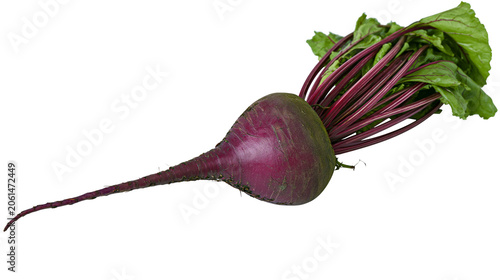 Konstfotografi Fresh beet root with green leaves and long taproot