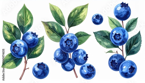 Blueberries isolated on white background fresh ripe juicy blueberries macro closeup fruit berry healthy organic dessert nature leaf sweet delicious