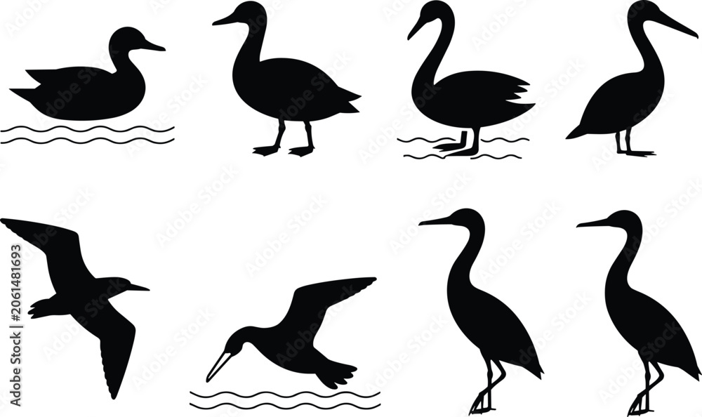 Fototapeta premium Black silhouette icons of water birds in diverse poses including swimming, standing, flying, and diving representing aquatic wildlife and nature concepts