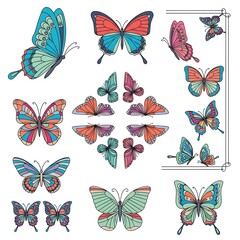 Butterfly Collection.