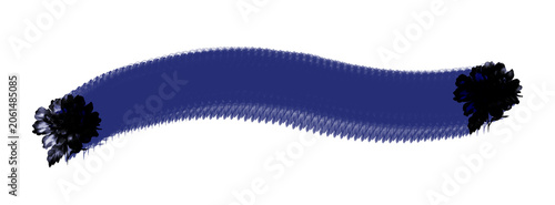 Blue textured brush stroke banner with black flowers isolated on transparent background