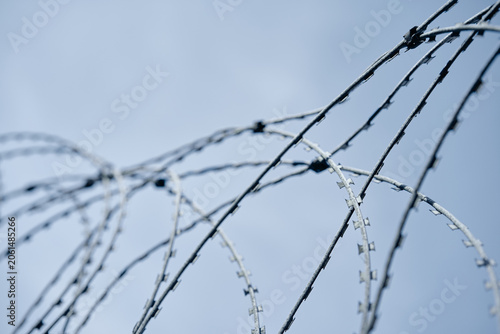 Foto A detailed view of barbed wire spirals used for securing perimeters against a clear blue background