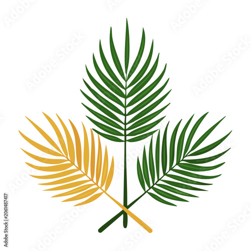 Tropical Palm Leaves Illustration on Transparent Background