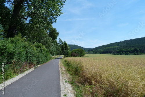 Radweg am Feld im Geratal bei Plaue