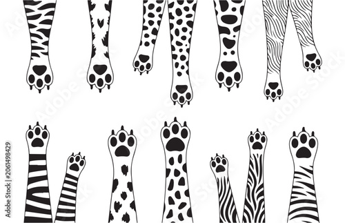 Canvas Print Set of wild cat paws and legs with various fur patterns for creative design projects or print art