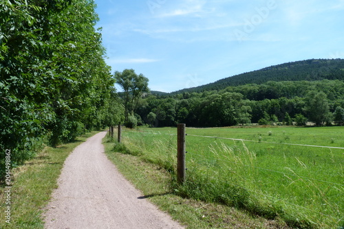 Geraradweg zwischen Arnstadt und Plaue in Thüringen