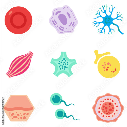 Human biological cells and microscopic structures collection featuring diverse cell types in flat vector illustration for scientific learning and medical research