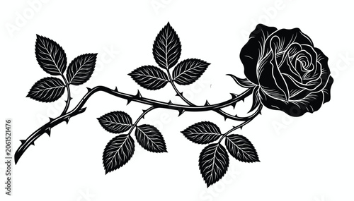 Black and white illustration of a rose with thorns and leaves on a branch