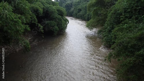 a river with murky water next to shady trees. nature background