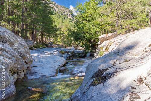 Mountain stream flowing over granite rocks in Corsica