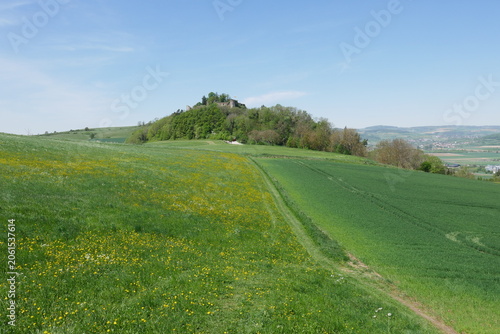 Berg und Burg Mägdeberg im Hegauer Kegelbergland
