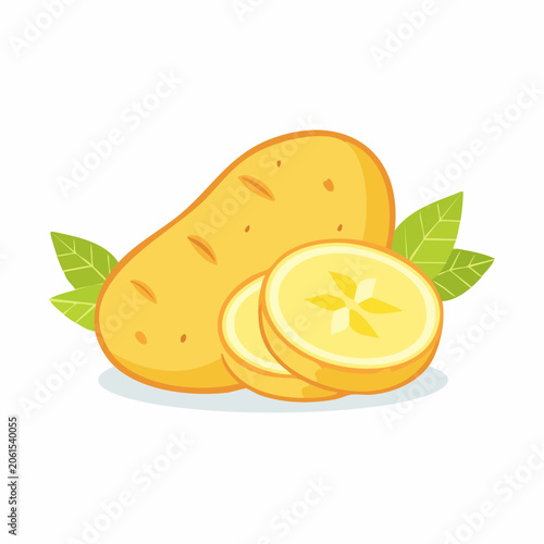 Illustration of a whole potato and slices with green leaves